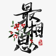 都市小说4